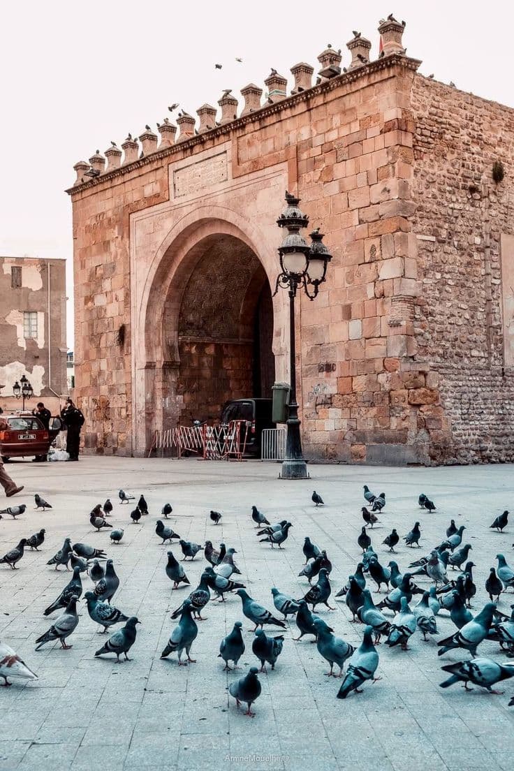 Arrivée à Tunis