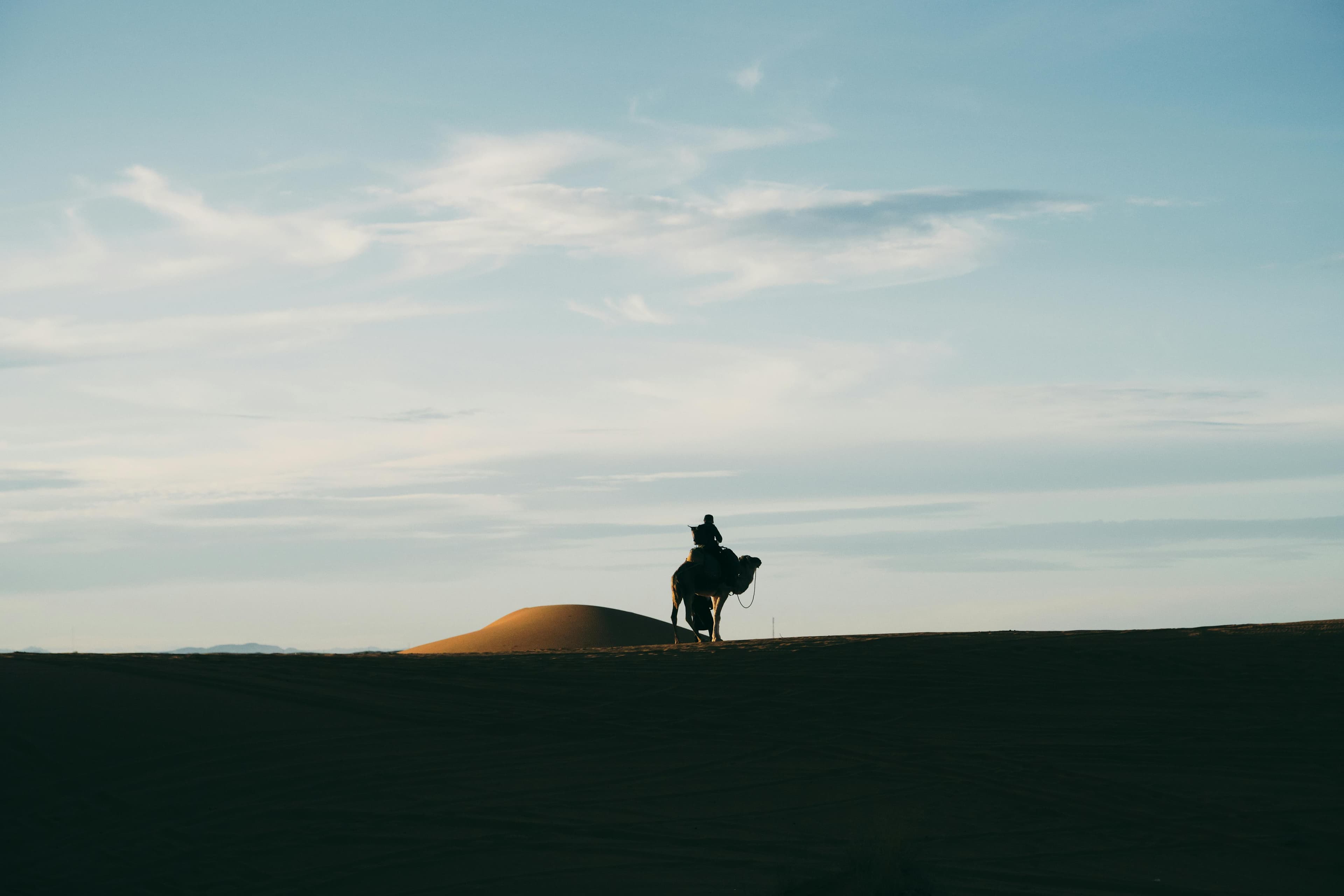 Aventure Sahara & Oasis